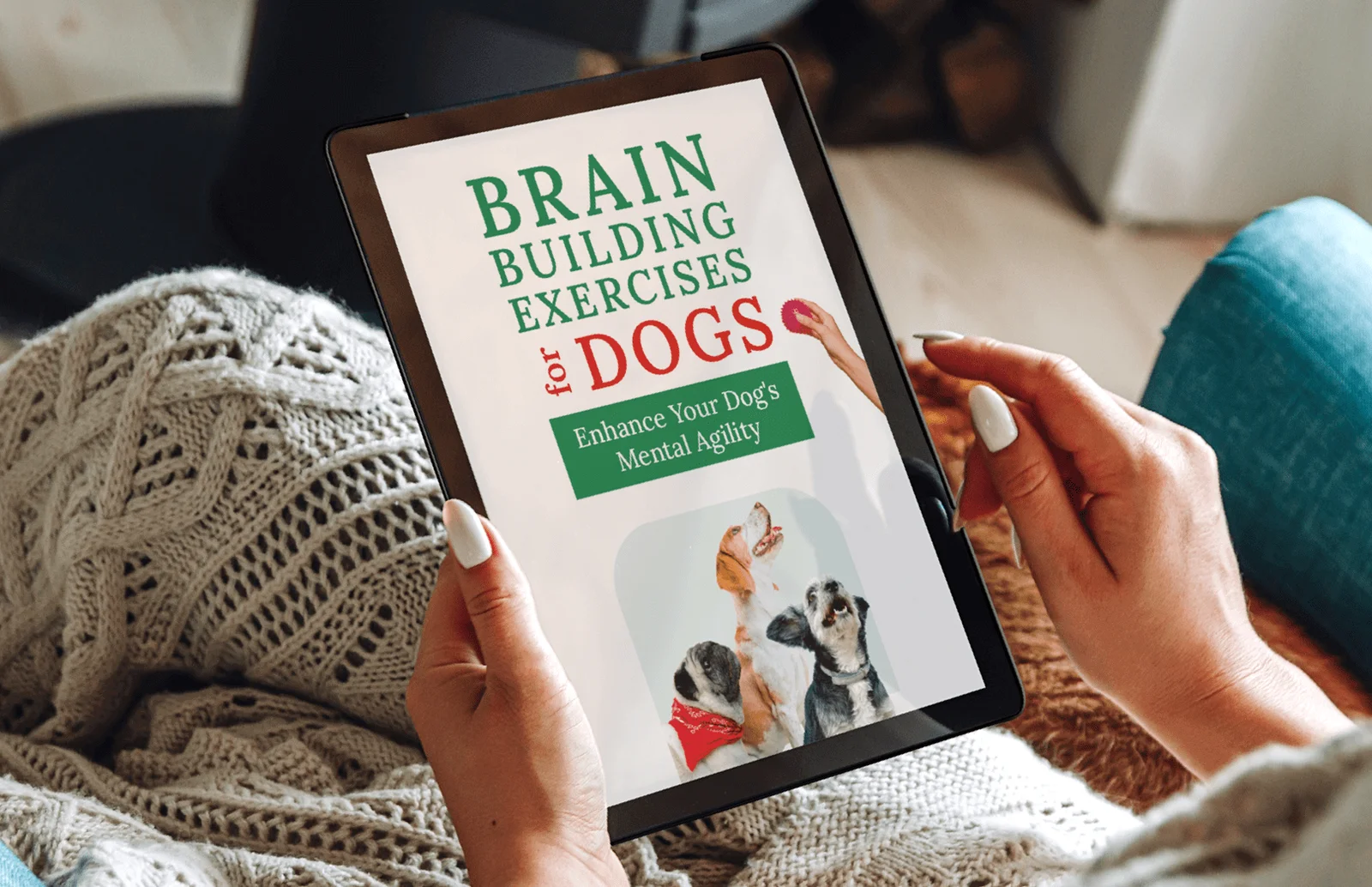 Brain Building Exercises for Dogs:Enhance Your Dog's Mental Agility